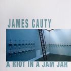 A Riot In A Jam Jar cover