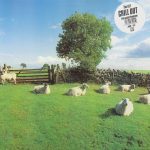 Cover of "Chill Out" by The KLF; sheep in countryside; featuring white sticker with album name and "file under ambient" notice